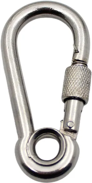2 Pcs Heavy Duty Carabiner Clips Fastener Hook Screw Gate Buckle Quick Links Lock Rings Hook for Outdoor Camping Hiking