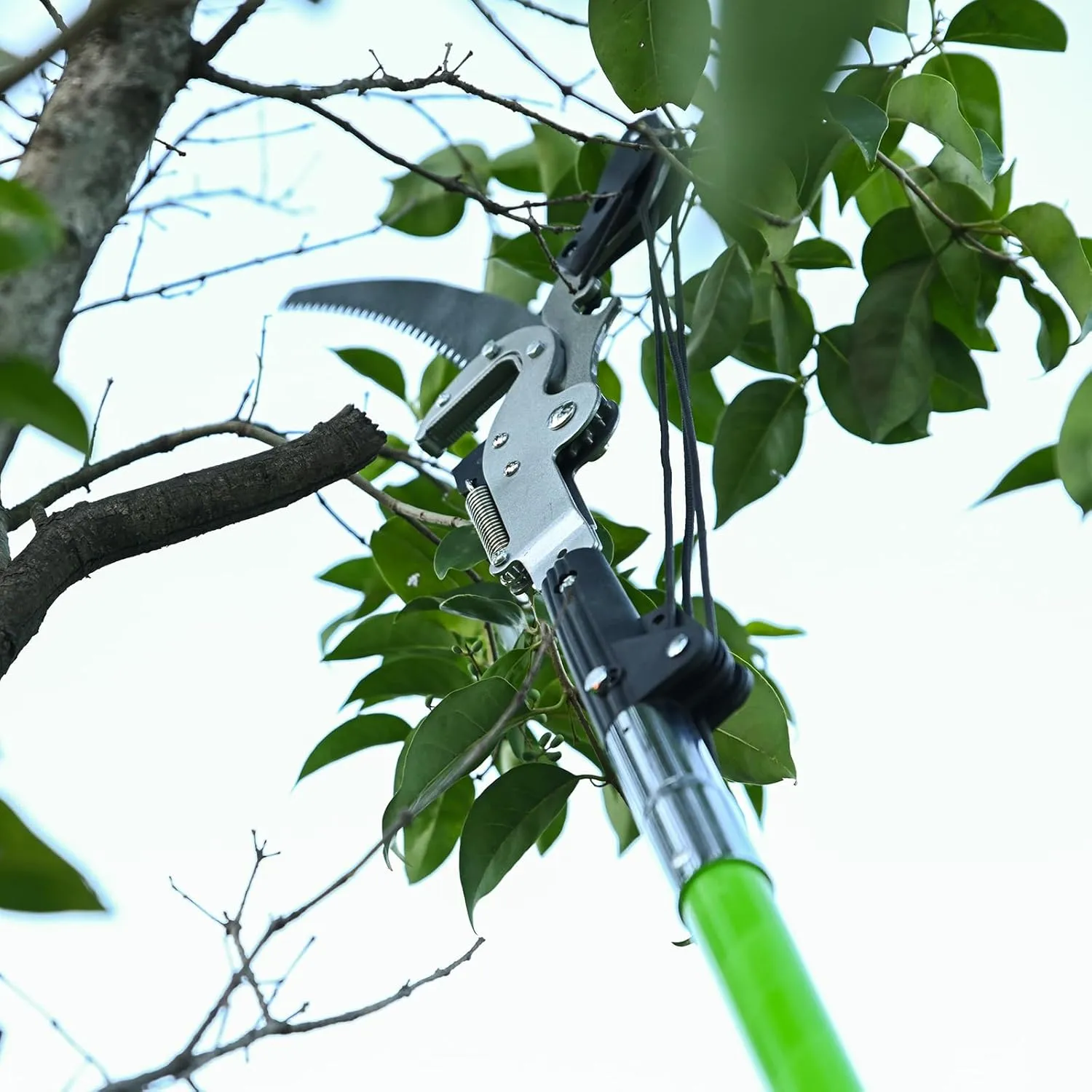 27FT Manual Pole Saw, Tree Branch Trimmer with 8-Section Fiberglass Handle, Sharp Steel Blade and Heavy-Duty Giant Pruning Scissors, Design for High Branch Trimming, Ideal for Palm and Shrub
