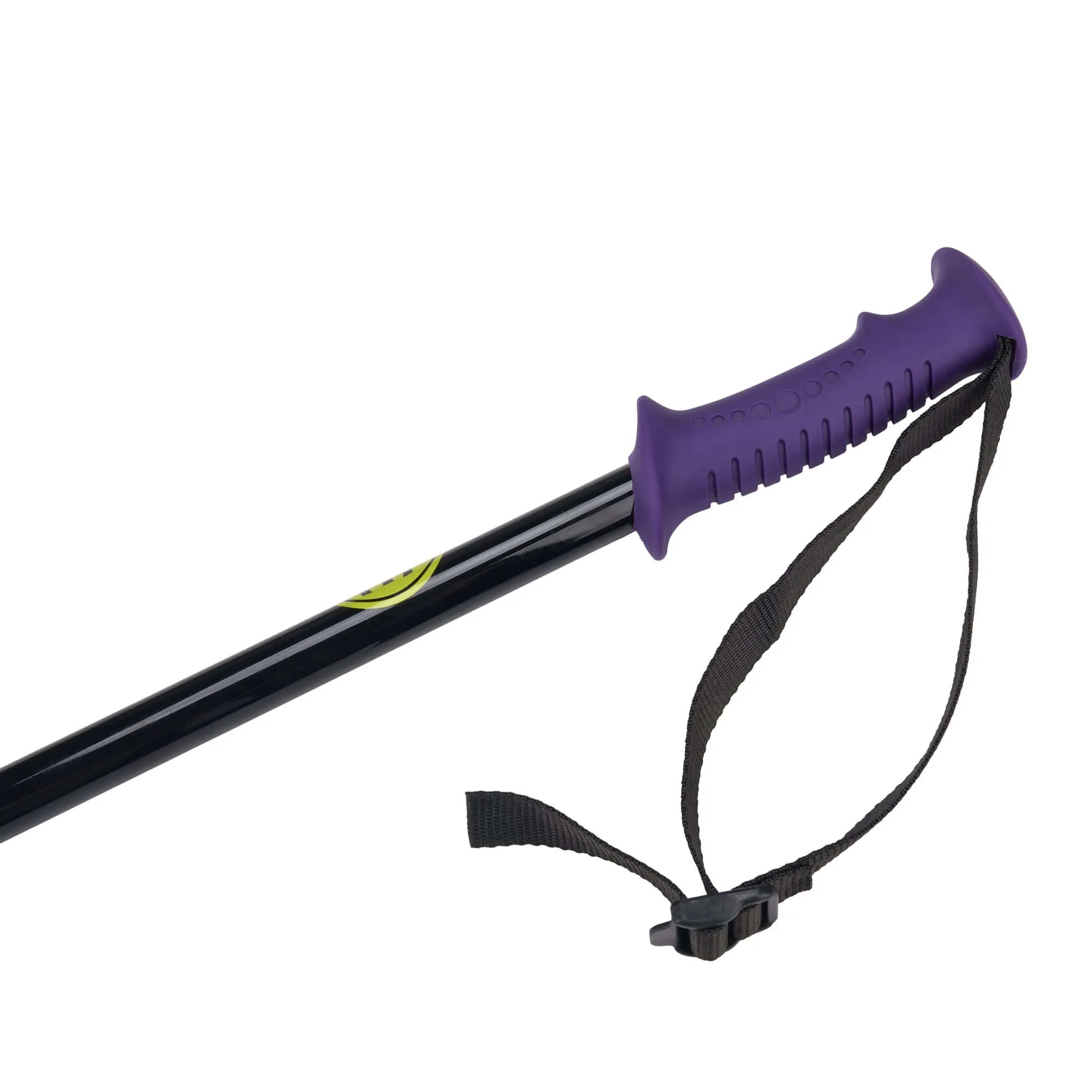 5th Element 2 Stealth Retro Ski Poles - Black/Purple