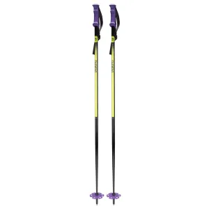 5th Element 2 Stealth Retro Ski Poles - Black/Purple