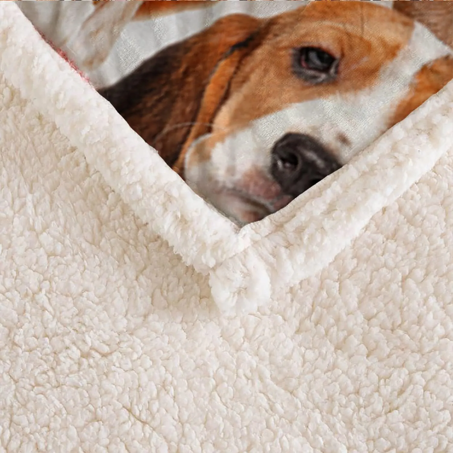 AILONEN Beagle Dog Blanket for Kids Adults,Beagle Animal Pattern Plush Gift Lovers,Double Sided Sherpa Throw Print Flannel Fleece(70 x 55 inches) Dog10