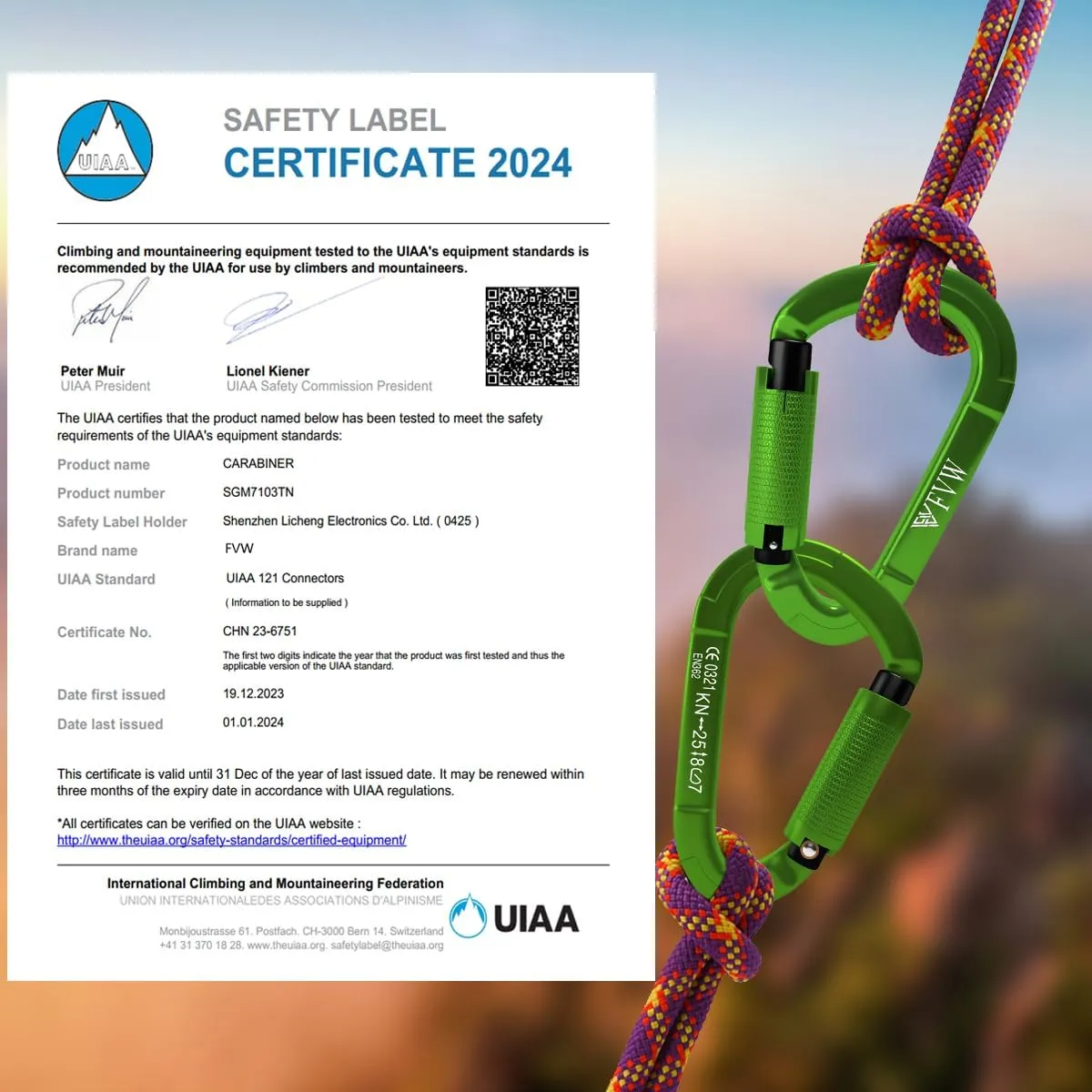 FVW Auto Locking Rock Climbing Carabiner Clips,Professional 25KN (5620 lbs) Heavy Duty Caribeaners for Rappelling Swing Rescue & Gym etc, Large D-Shaped Carabiners