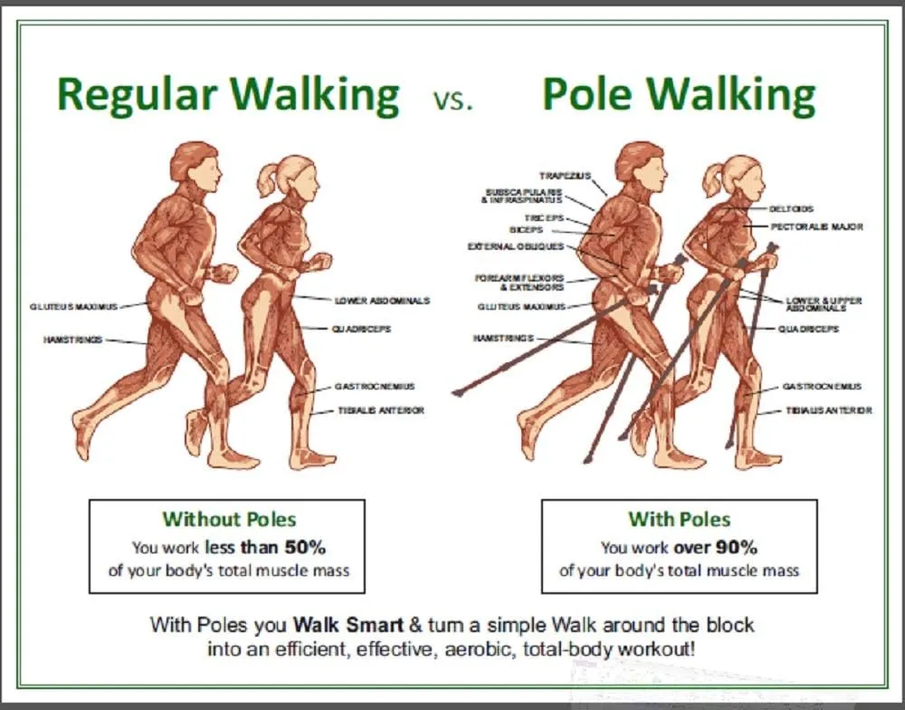 Green 2-Piece Fitness Exercise Agility Walking Poles