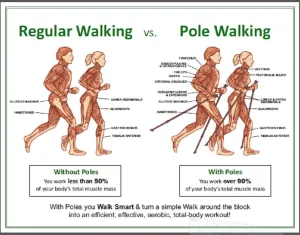 Green 2-Piece Fitness Exercise Agility Walking Poles