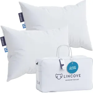 Lincove Cloud Natural Canadian Down Pillow, White Luxury Sleeping Pillow - 625 Fill Power, 500 Thread Count Cotton Shell, Made in Canada, Queen - Medium, 2 Pack