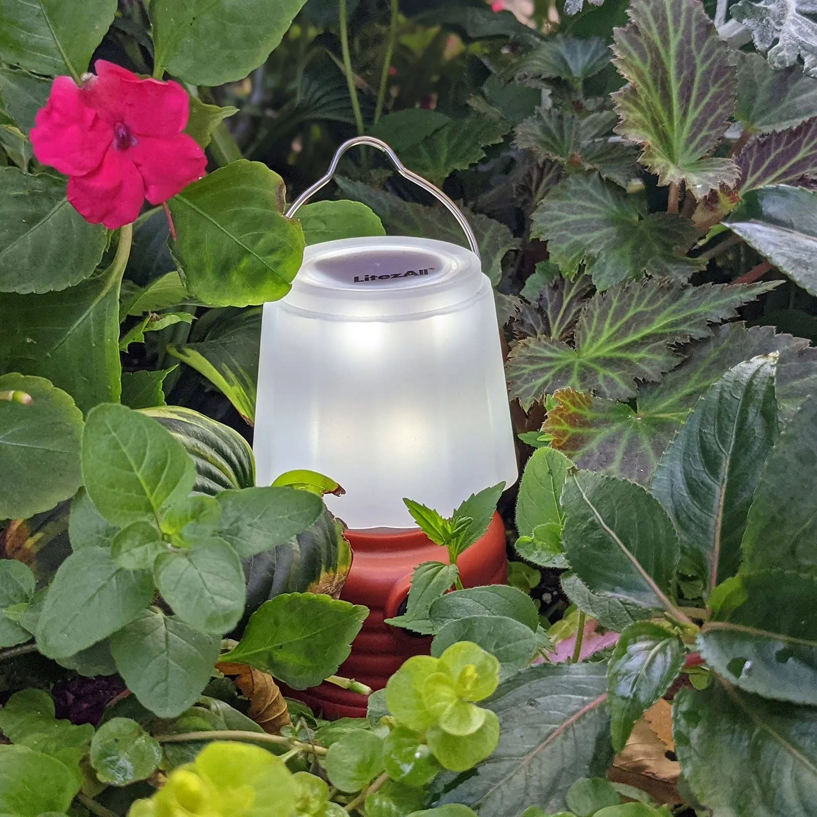 LitezAll Mini LED Lantern with White or Simulated Flame