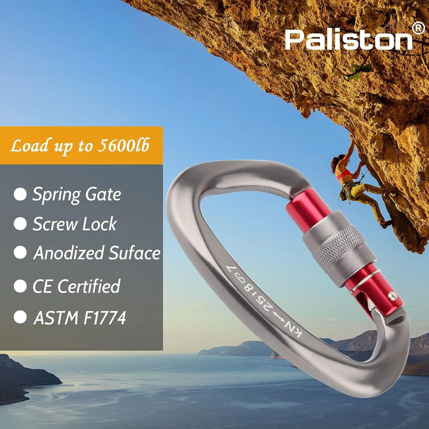 Locking Carabiner - 25kN 5600lb Climbing Carabiner Screw Gate D Shape Carabiner