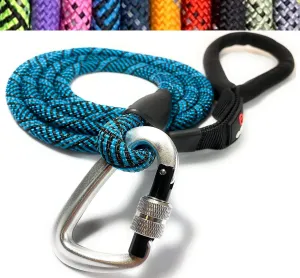 Locking Carabiner Dog Leash – Heavy Duty Rope Leash for Large & Medium Dogs | Reflective with Strong Clip & Padded Handle for Walking, Hiking, Running, Training - 6 Ft (Royal Blue)