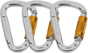 LUOOV Aluminum Locking Carabiner, Screw Lock Climbing D Shape Spring Clip Hook Buckle Home RV Camping Fishing Hiking Traveling (Sliver 3PCS)