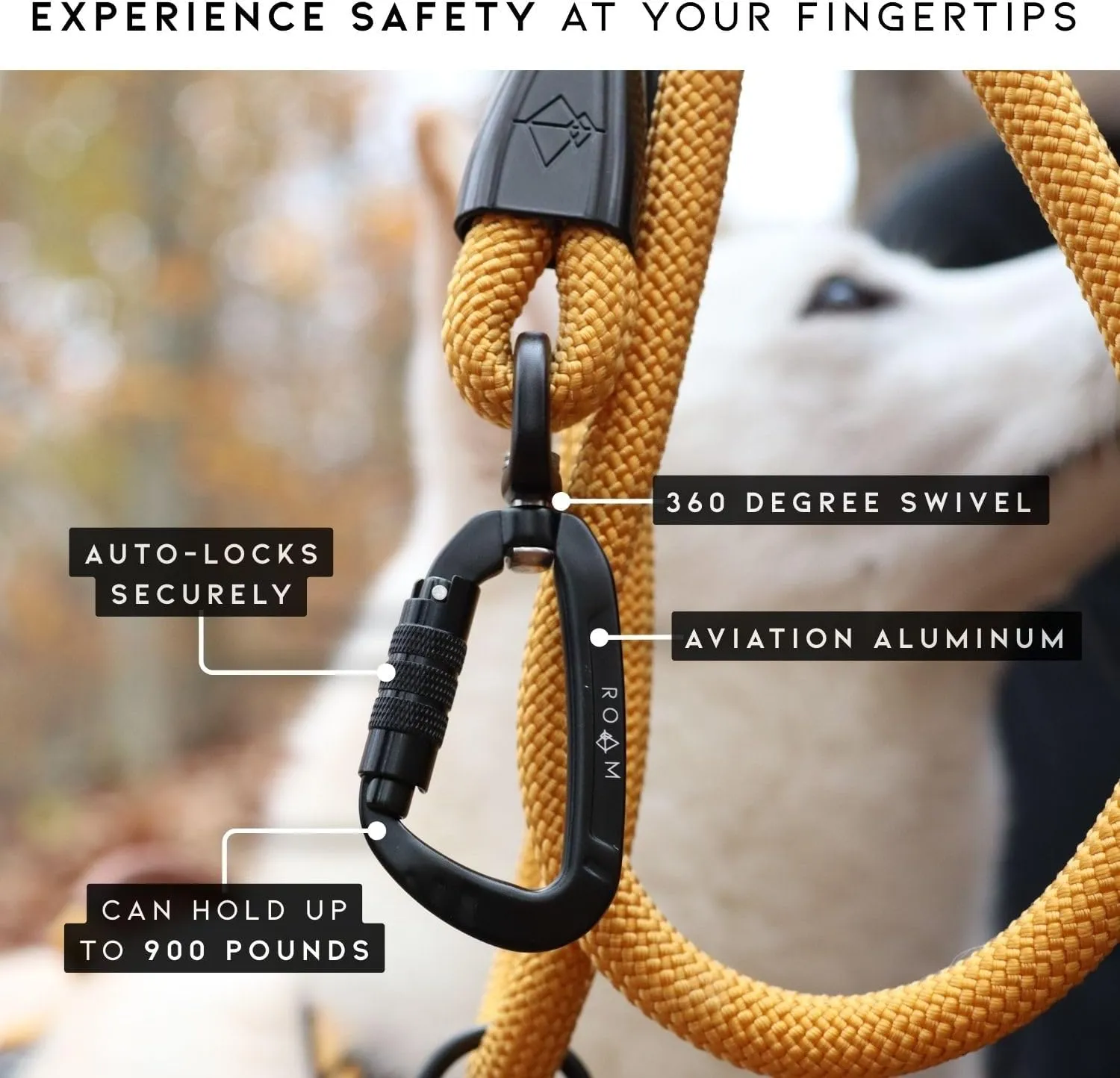 MADE TO ROAM Premium Explorer Leash - Climbing Rope Leash with Autolocking Aviation Aluminum Carabiner - Oregon Haze, 4ft