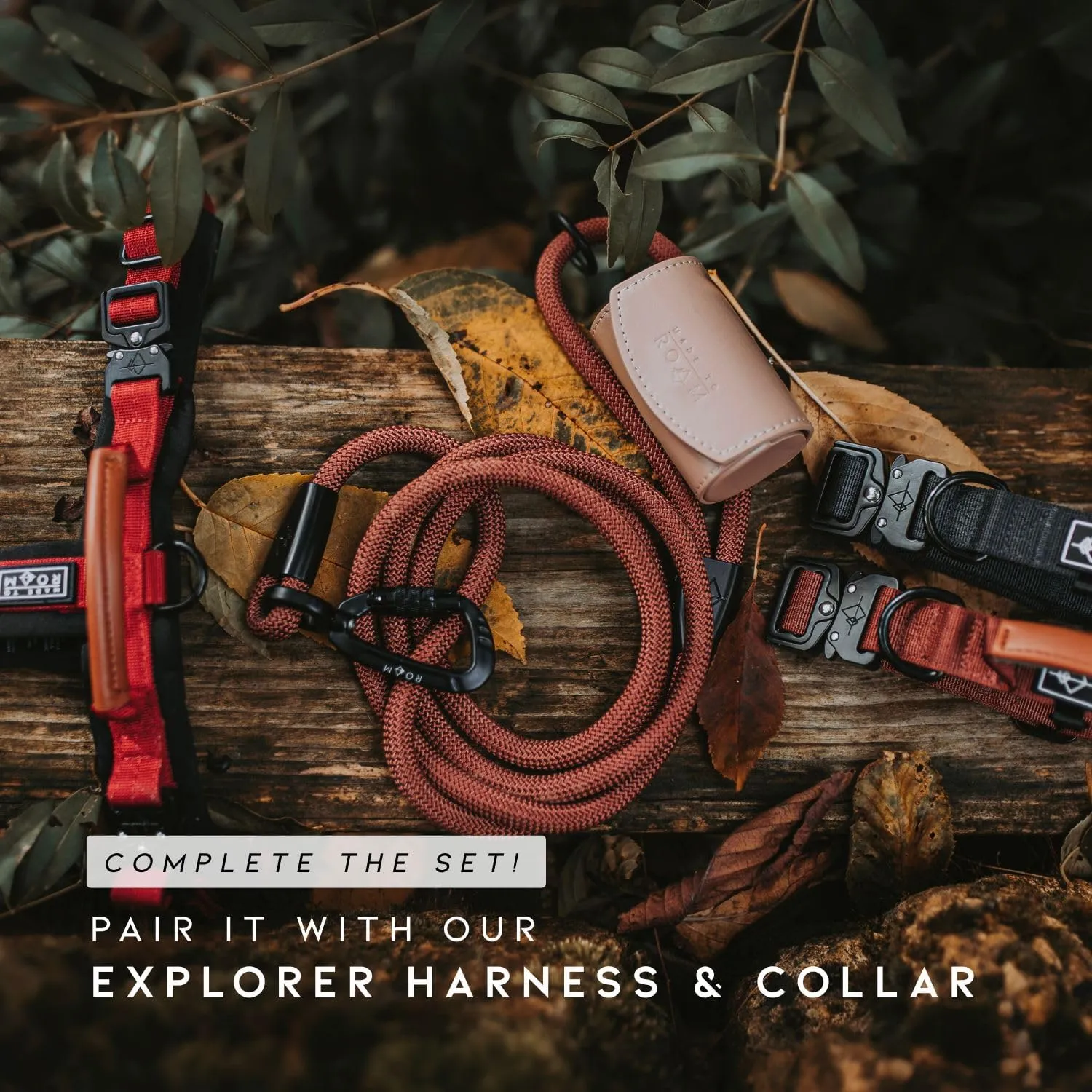 MADE TO ROAM Premium Explorer Leash - Climbing Rope Leash with Autolocking Aviation Aluminum Carabiner - Oregon Haze, 4ft