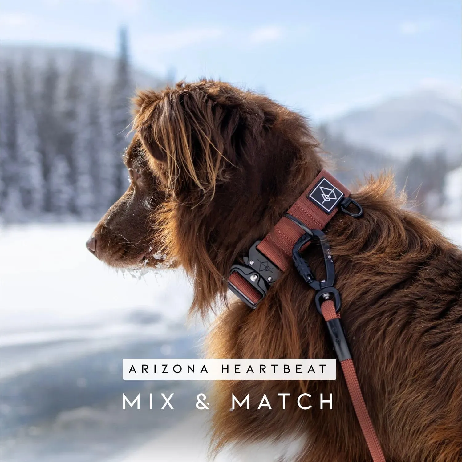 MADE TO ROAM Premium Explorer Leash - Climbing Rope Leash with Autolocking Aviation Aluminum Carabiner - Oregon Haze, 4ft