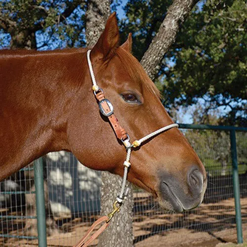 Martin Saddlery Adjustable Head Setter Tiedown Noseband