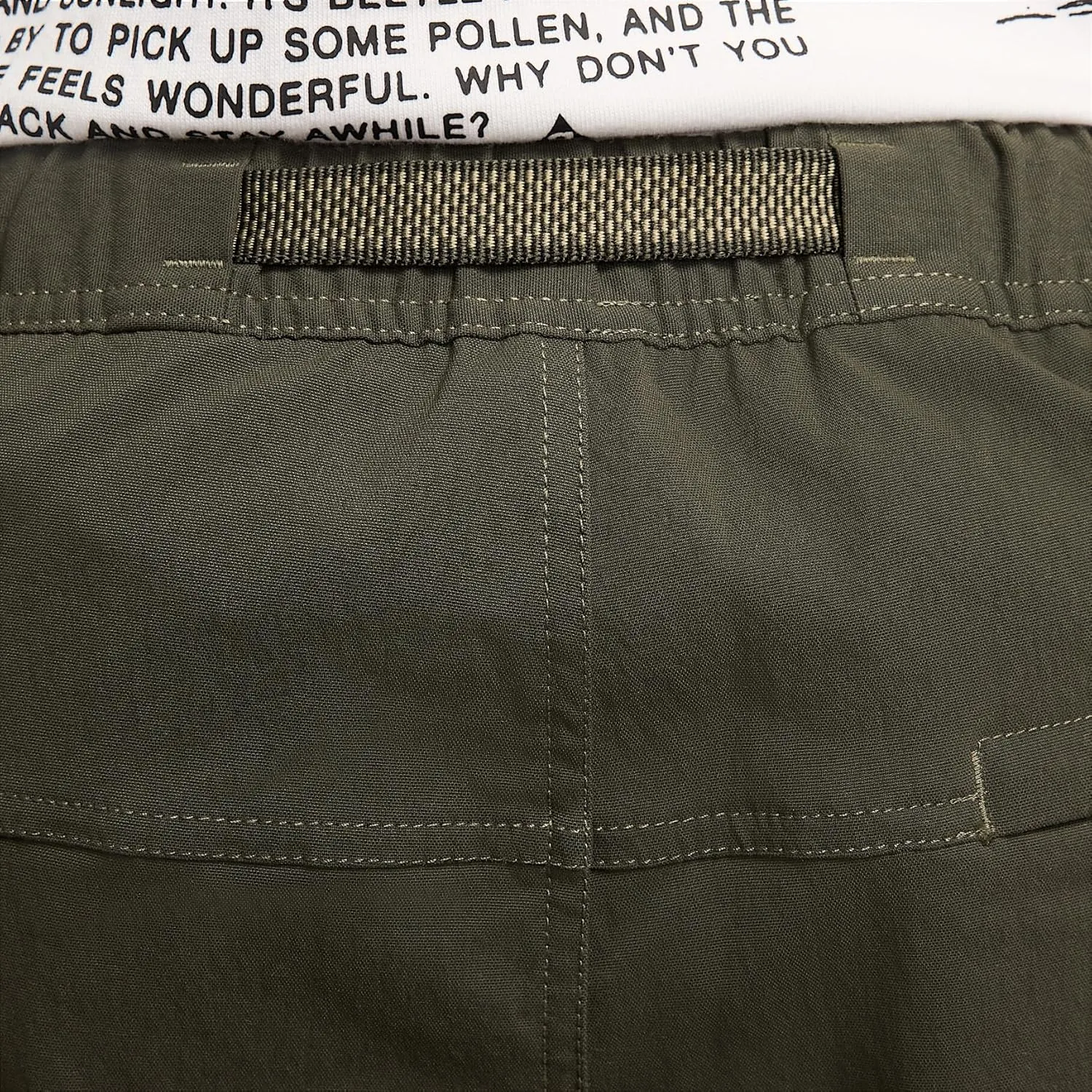 Nike ACG Smith Summit Men's Cargo Pants (FN0428-355, Sequoia/Medium Olive/Summit White)