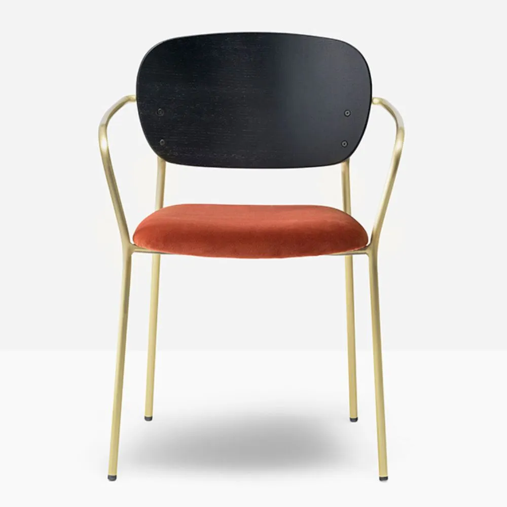 Pedrali Jazz 3705 padded chair with armrests and ash backrest