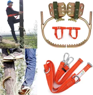 Pole Climbing Spikes, Tree Climbing Gear with Safe Belt, Adjustable Tree Climbing Spikes for Climbing Hunting Observation Picking Fruit,350model