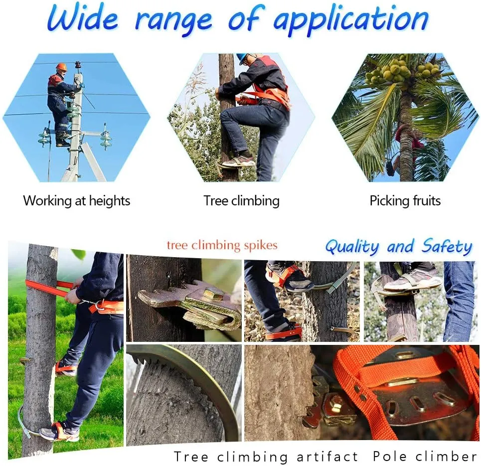 Pole Climbing Spikes, Tree Climbing Gear with Safe Belt, Adjustable Tree Climbing Spikes for Climbing Hunting Observation Picking Fruit,400model