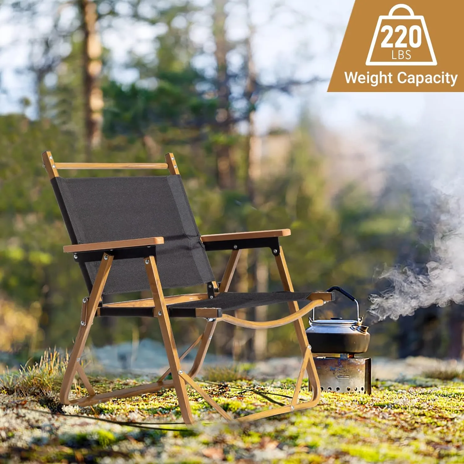 Portable Folding Camping Chair, Aluminum Frame Armchair, 600D Polyester Cloth, Fishing, Picnic, Camping, Outdoor, Support Up to 220Lbs (Ship from US) (Medium - 21.57" x 21.65" x 24")