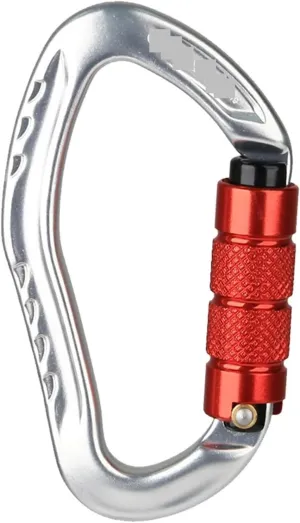 Snaps 2PCS D-Shaped Climbing Professional Safety Carabiner Easy to Carry for Traveling Hiking Fishing for Keychains, Fishing and Outdoor Activitie