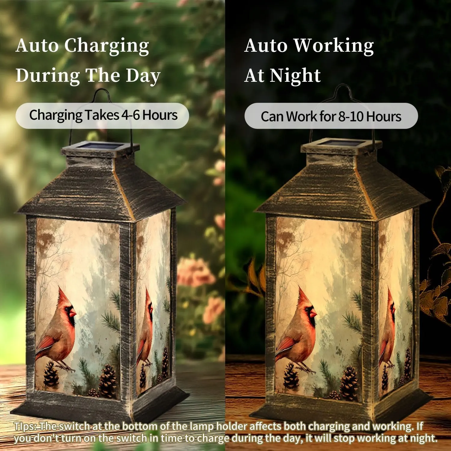 Solar Lantern Antique Cardinal Art Pine Evergreen Distressed Canvas Design Outdoor Waterproof Garden Hanging Lantern Solar Powered Lighting Outside Table Lamp for Patio Deck Camping 1 Pack