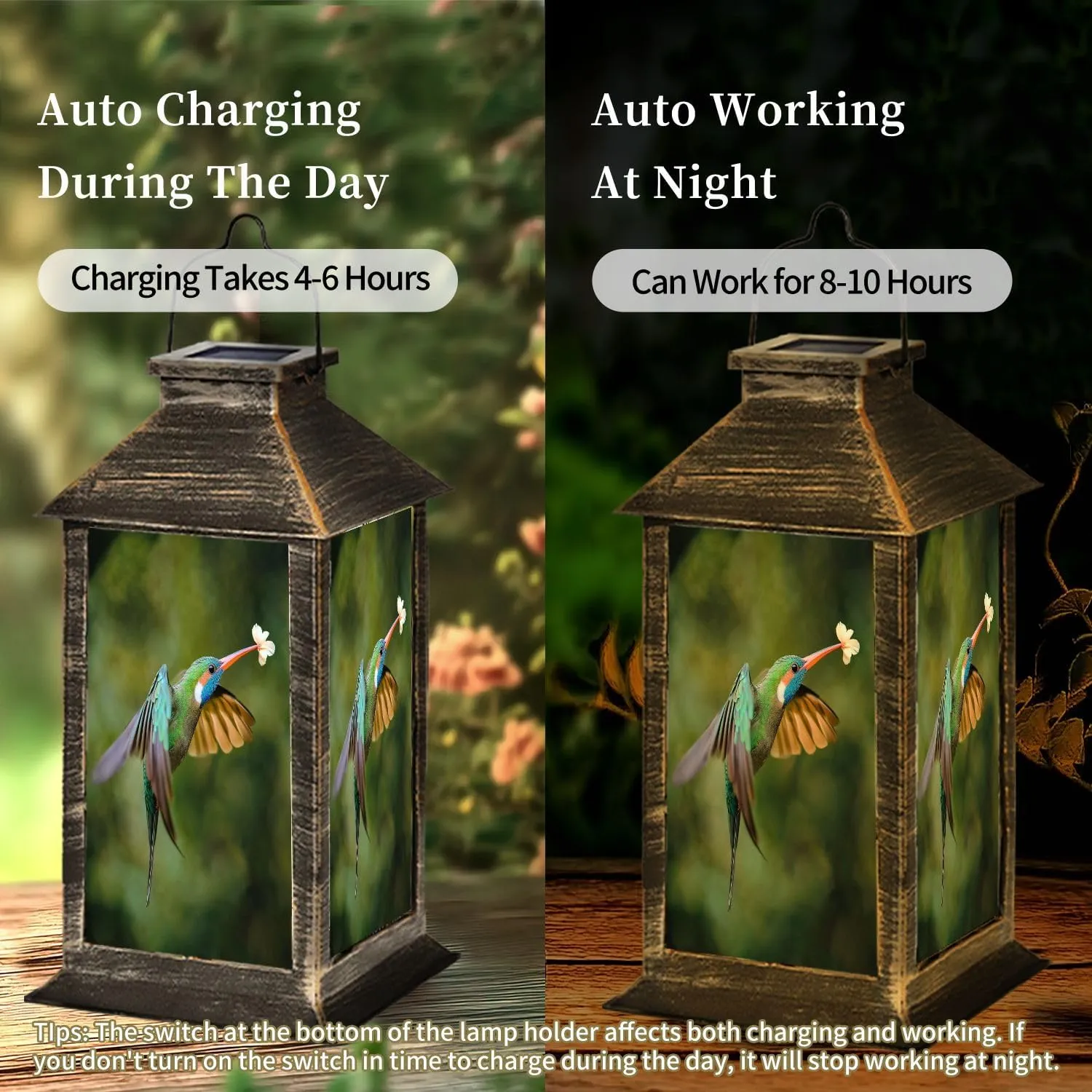 Solar Lantern Portrait Photo Violet Fronted Brilliant Flight Water Covered Yellow Outdoor Waterproof Garden Hanging Lantern Solar Powered Lighting Outside Table Lamp for Patio Deck Camping 1 Pack