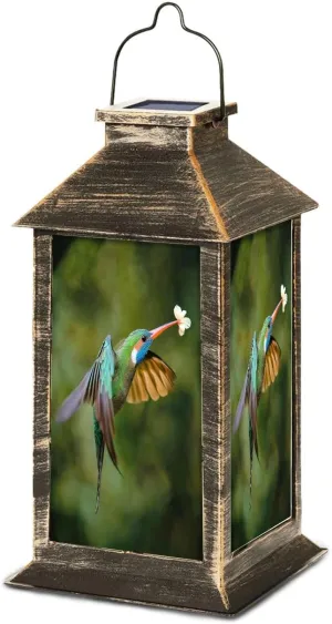 Solar Lantern Portrait Photo Violet Fronted Brilliant Flight Water Covered Yellow Outdoor Waterproof Garden Hanging Lantern Solar Powered Lighting Outside Table Lamp for Patio Deck Camping 1 Pack
