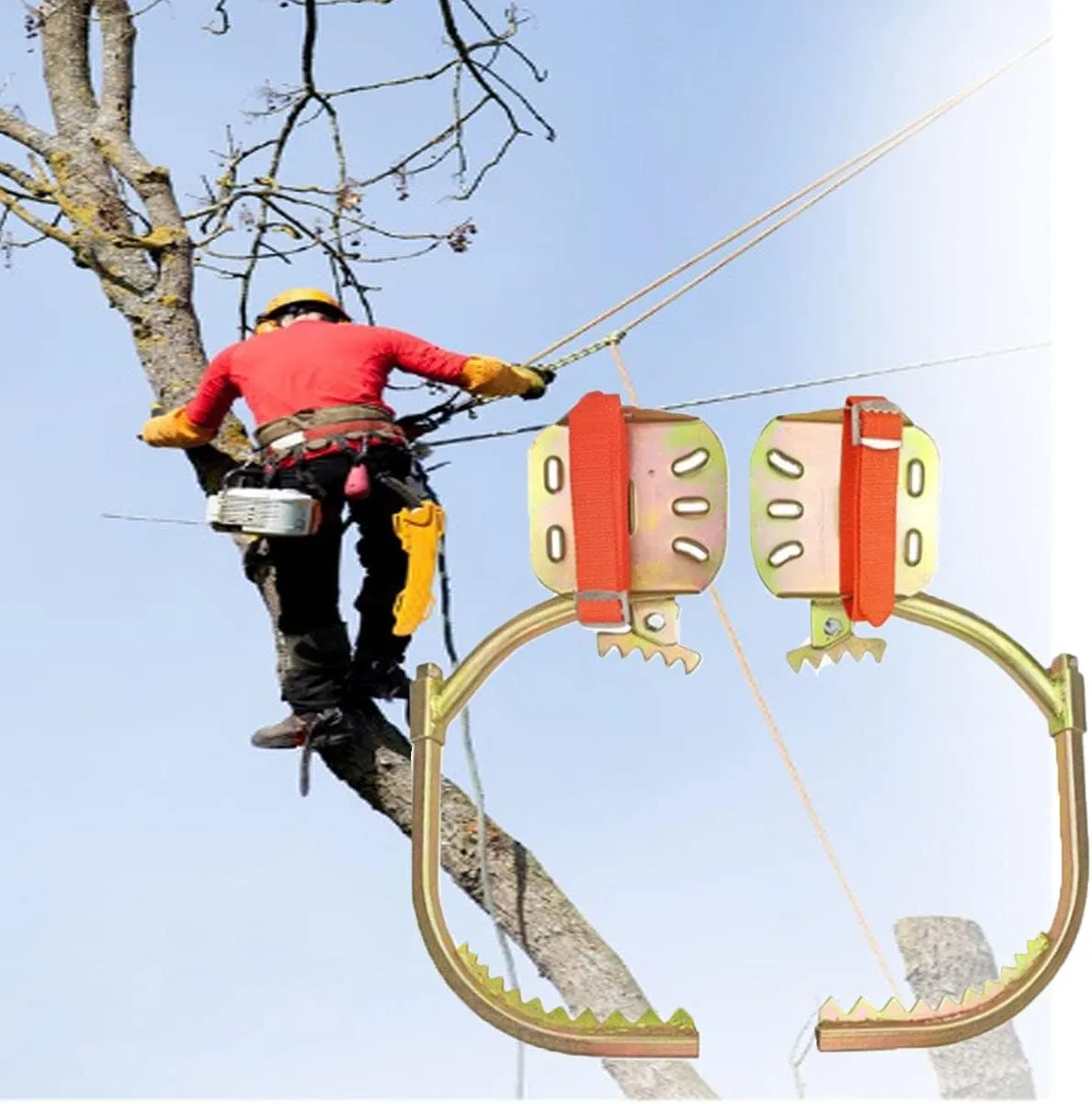 WZFANJIJ Tree Climbing Gear, Pole Climbing Spikes Adjustable Climbing Tree Shoes Non-Slip Pedal, 304 Stainless Steel Tree Climbing Tool for Hunting Observation, Picking Fruit,600Model